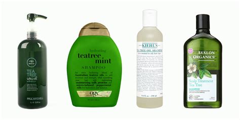 Is Tea Tree Oil Shampoo Good for Hair? And Can It Make Your Hair Smell Like a Forest After Rain?